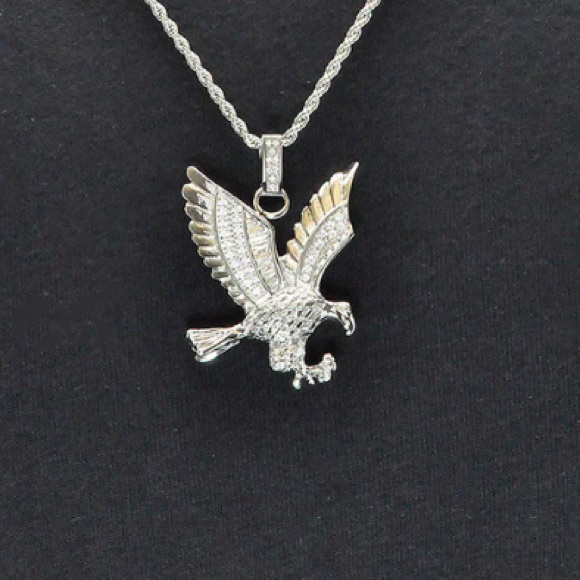 Mens Stainless Steel
Cubic Zirconia Eagle
Pendant Necklace With 24" Rope Chain - Picture 2 of 4